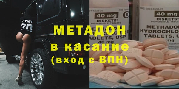 индика Богданович