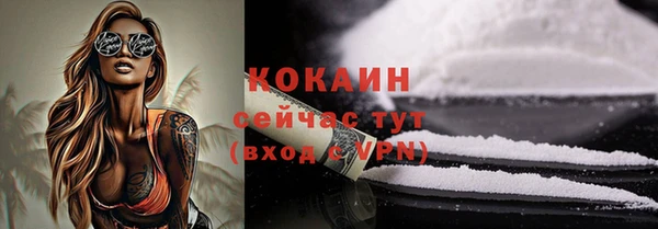 индика Богданович