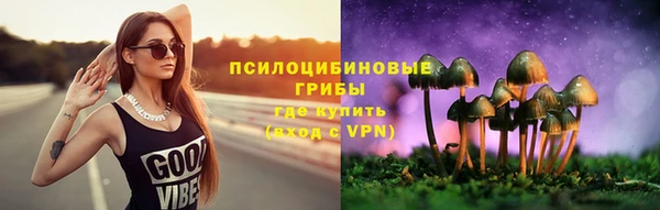 индика Богданович