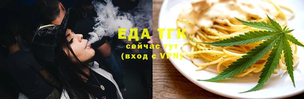 индика Богданович