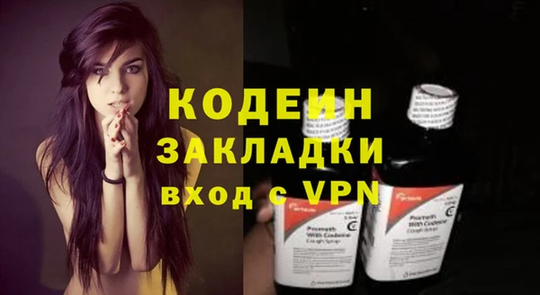 индика Богданович