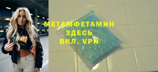 индика Богданович