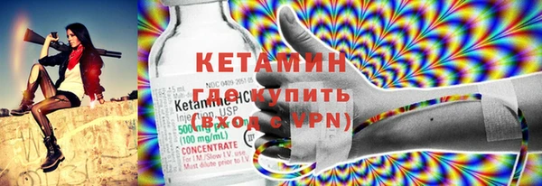 индика Богданович