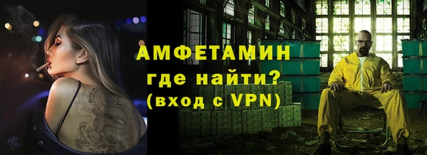 индика Богданович