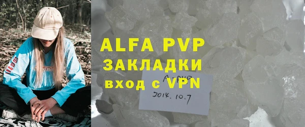 индика Богданович