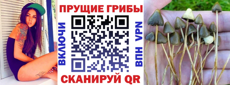 даркнет сайт  Уссурийск  Галлюциногенные грибы ЛСД 